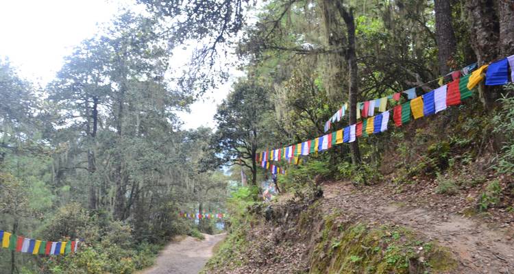 Aventure au Bhoutan avec Trek à Bumdra - Bhutan Green Travel (BGT) 2