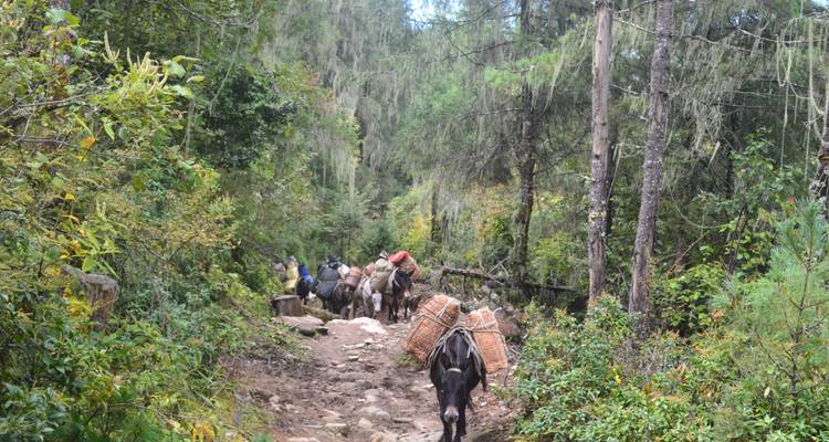 Trek du sentier Druk - Bhutan Green Travel (BGT) 1