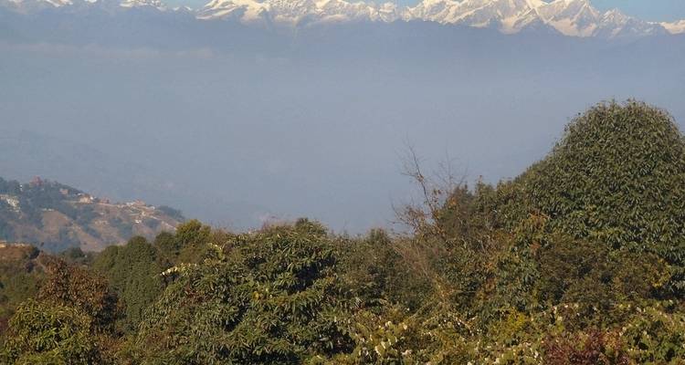 Verschneite Bergkette, die hinter einer Waldlandschaft zu sehen ist.