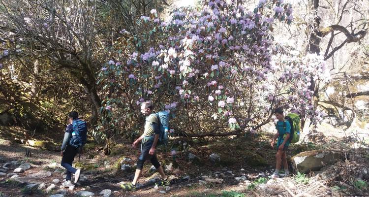 Wandelaars die lopen door een pad met bloeiende bloemen.
