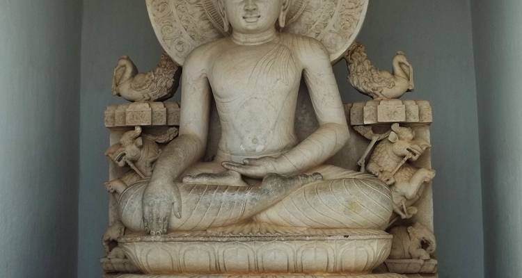 Pistes tribales : Exploration de l'Odisha et du Chhattisgarh - Agora Voyages OPC Pvt Ltd 8
