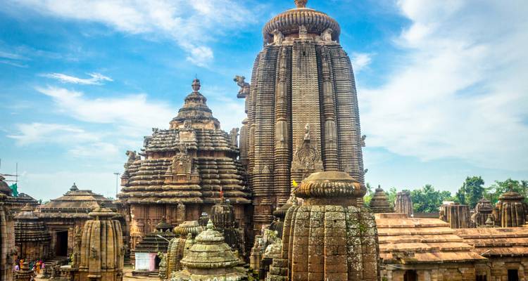 Pistes tribales : Exploration de l'Odisha et du Chhattisgarh - Agora Voyages OPC Pvt Ltd 7