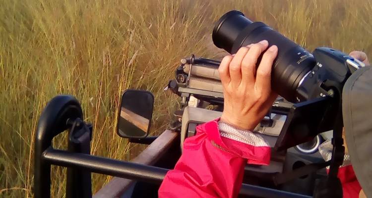 Zambia: Incredible Shoebill Stork & other bird species watching in Bangweulu wetlands & Lochinvar for 16 days. - Lochinvar Safaris 9