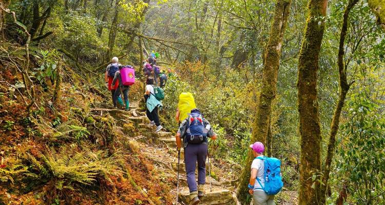 Trekking dans la montagne de Fansipan 2 jours 1 nuit - Mr Linh's Adventures 4