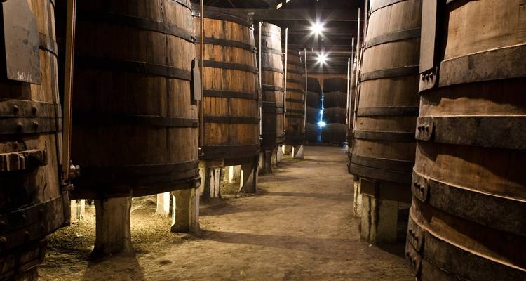 Lo más destacado de Portugal - Lisboa, Alentejo, sintra, Oporto y Valle del Douro - Portugal Travel Center 10