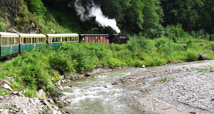 Un train à vapeur d'époque roule bruyamment le long d'une rivière forestière tumultueuse dans une vallée étroite