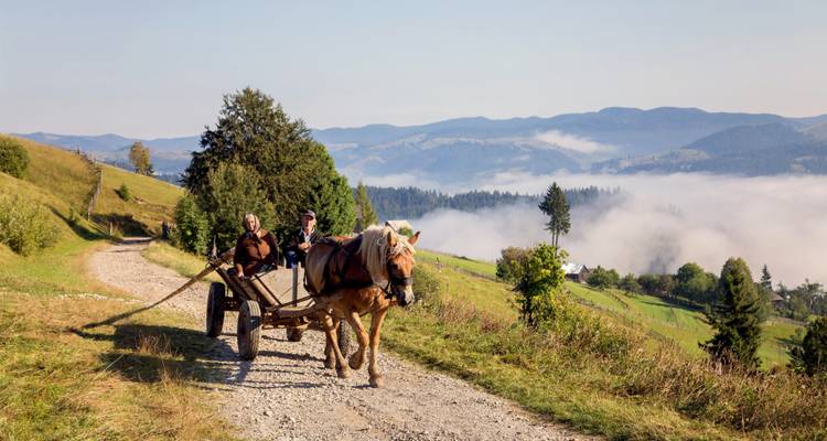 Patrimoine nordique classique : circuit de six jours dans le Maramures et la Bucovine au départ de Cluj-Napoca - Rolandia 3