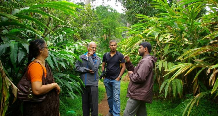 Quick Cochin Munnar Thekkady Alleppy Kovalam 8 Days Tour - Real viaggi india  3