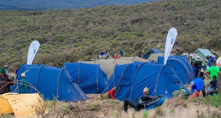 Join Our 7-Day Kilimanjaro Group Adventure via the Spectacular Machame Route 2025/2026 - Africa Natural Tours 2
