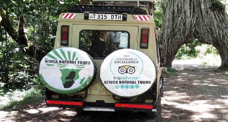 Véhicule de safari avec des logos garé sur un chemin de terre.