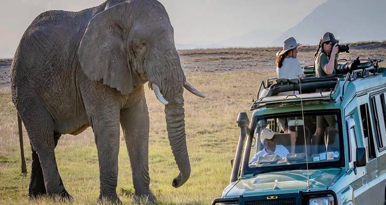 Éléphant près d'un véhicule de safari dans un paysage de savane.