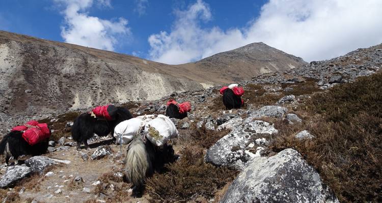 Trek du camp de base de l'Everest avec retour en hélicoptère à Lukla - Scenic Nepal Treks & Expedition Pvt. Ltd 4