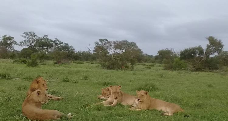 12 Días | Cataratas Victoria, Chobe, PN Kruger y Ciudad del Cabo (Sudáfrica) - Timeline Travel DMC 2