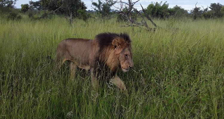 12 Días | Cataratas Victoria, Chobe, PN Kruger y Ciudad del Cabo (Sudáfrica) - Timeline Travel DMC 3