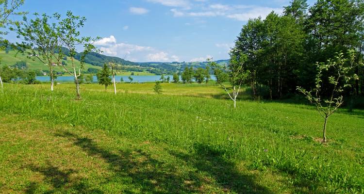 Salzburg's Lake District - based in one hotel - Eurobike 2