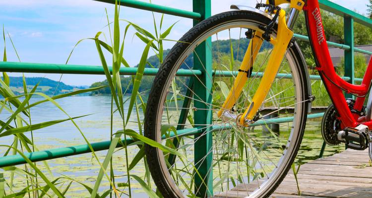 Salzburg's Lake District - based in one hotel - Eurobike 4