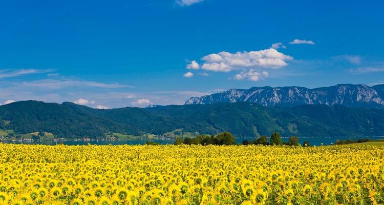 Excursión a Salzkammergut - Eurobike 3