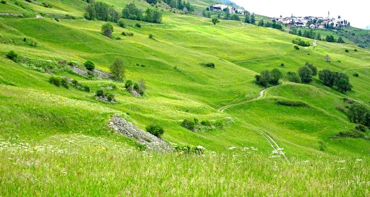 Les vastes collines verdoyantes parsemées de fleurs sauvages et le petit hameau alpin au loin sous un ciel couvert.