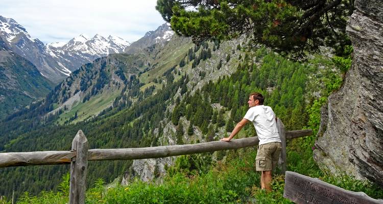 Un homme s'appuie contre une clôture en bois en admirant les sommets parsemés de neige et la vallée densément boisée.