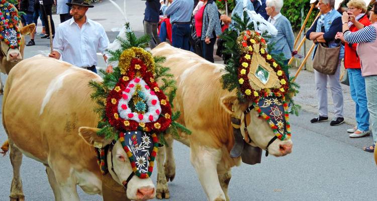Défilé de vaches avec du bétail paré et des gens qui observent.