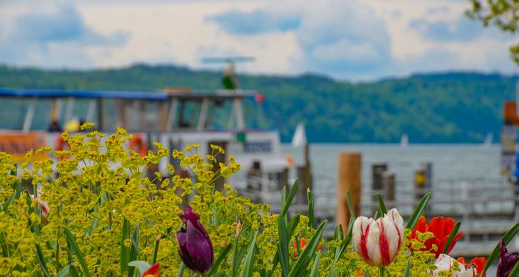 Lake Constance - Lake Koenigssee - Salzburg 14/13 - Eurobike 3