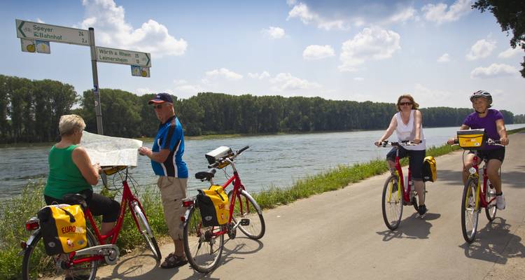 Ruta del Vino por el Palatinado con base en un hotel 7/6 - Eurobike 10