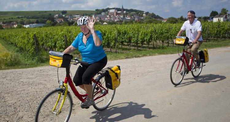 Ruta del Vino por el Palatinado con base en un hotel 7/6 - Eurobike 9