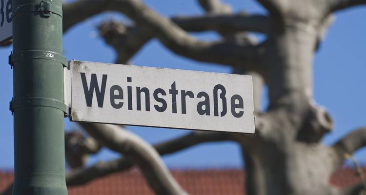 Neckar, Rhin et vignes - Eurobike 4