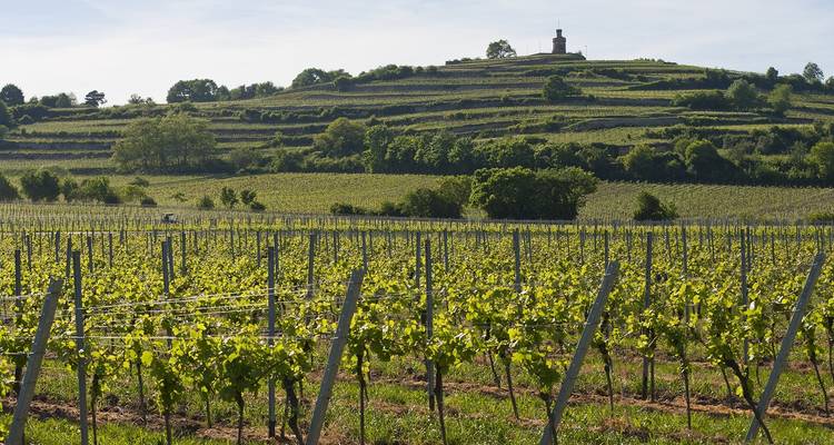 Neckar, Rhin et vignes - Eurobike 1