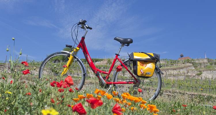 Romance del Rin - Speyer, Heidelberg, Worms 6/5 - Eurobike 6