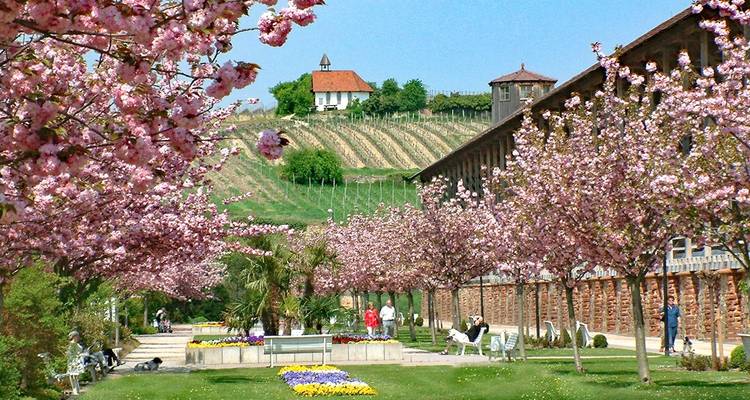 Rhine Romance - Speyer, Heidelberg, Worms 7/6 - Eurobike 4