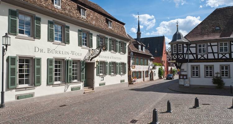 Rhine Romance - Speyer, Heidelberg, Worms 7/6 - Eurobike 10