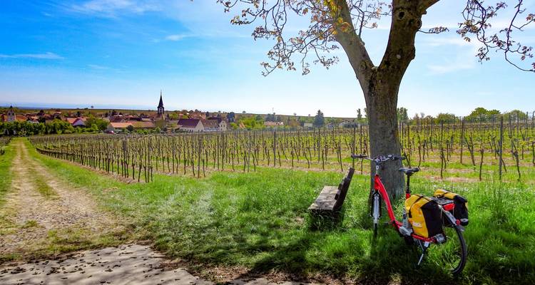 Rhine Romance - Speyer, Heidelberg, Worms 7/6 - Eurobike 3