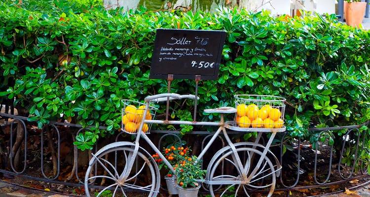 Costa Este de Mallorca con base en un hotel 8/7 Hotel Sabina - Eurobike 9
