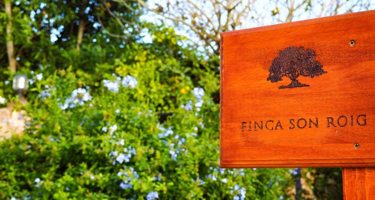 Majorque - Visite d'une finca de charme - Eurobike 8