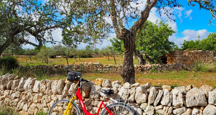 Majorque - Visite d'une finca de charme - Eurobike 7