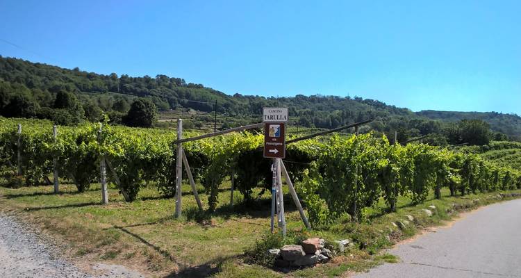 Gourmet Piedmont 8/7 - Eurobike 4