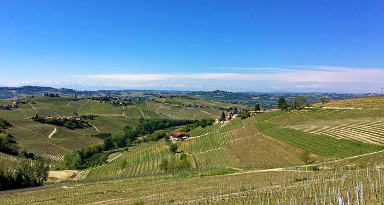 Gourmet Piedmont 8/7 - Eurobike 6