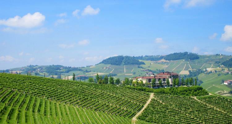 Gourmet Piedmont 8/7 - Eurobike 7