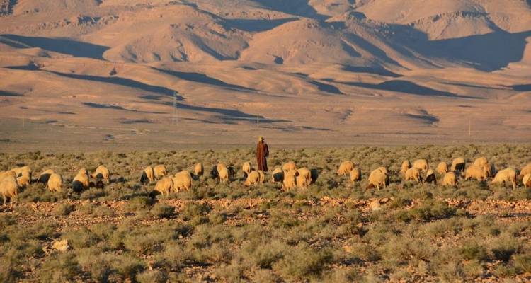 Meilleure excursion de 8 jours dans le désert à partir de Marrakech - Tilila Travel 7