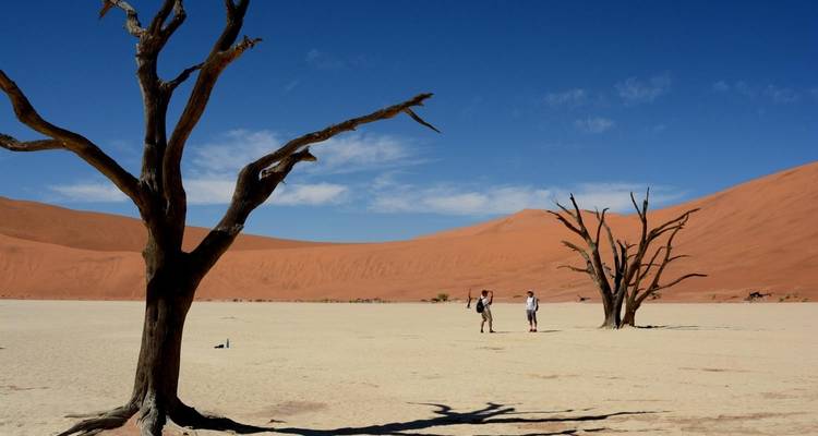 6 Day Sossusvlei, Fish River Canyon & Kolmanskop - Chameleon Safaris Namibia 6