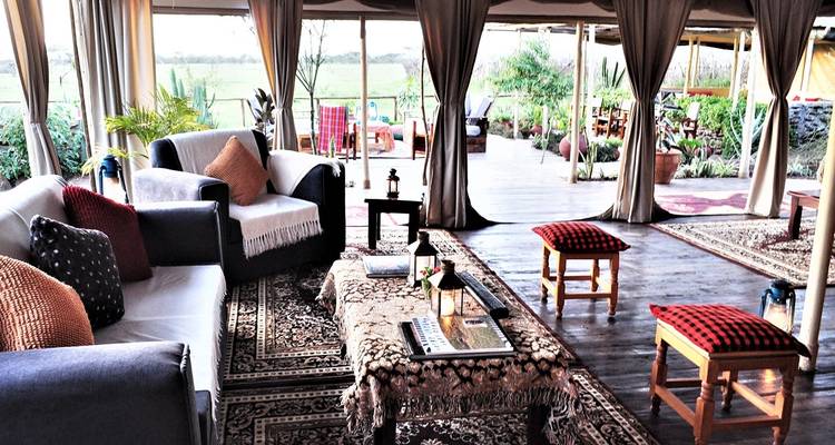 5 Day Kenya and Uganda luxury flying safari 2025/2026 - CKC Tours & Travel 2