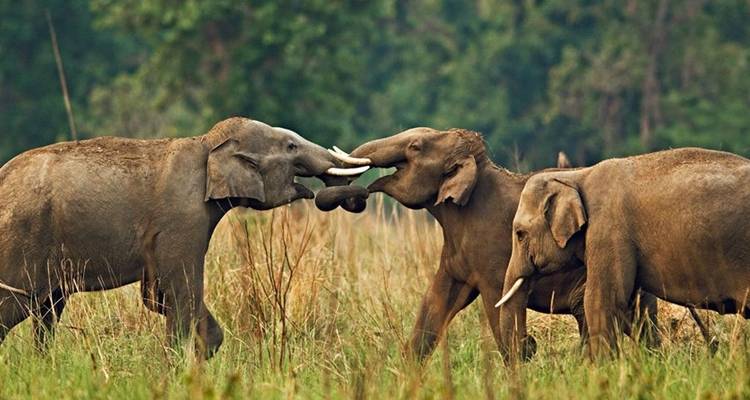 Rajasthan 10 Days Trip - Golden Triangle India Tours 8
