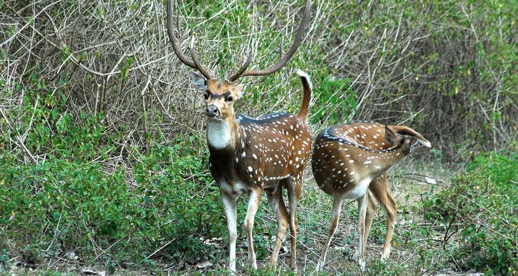 Rajasthan 10 Days Trip - Golden Triangle India Tours 4