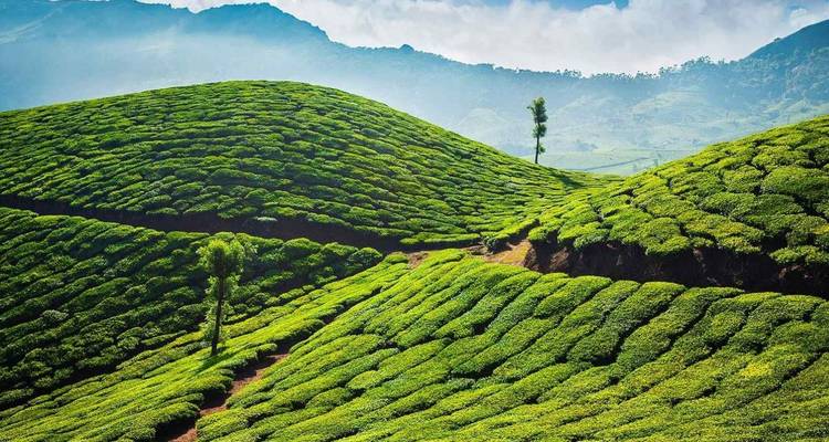 Viaje a la India - Golden Triangle India Tours 9