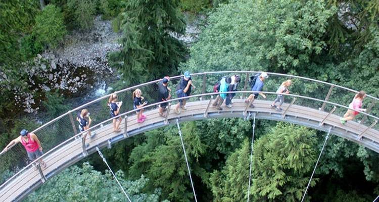 Excursion d'une journée à Vancouver - Grouse Mountain et pont suspendu de Capilano (privé) - Globalduniya 1