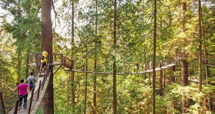 Excursion d'une journée à Vancouver - Grouse Mountain et pont suspendu de Capilano (privé) - Globalduniya 2