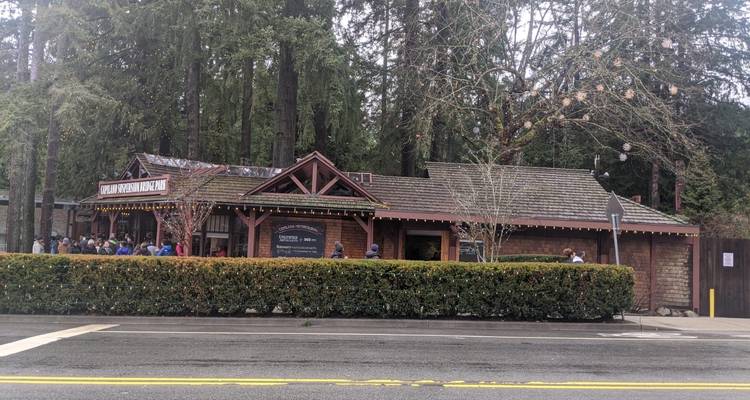 Excursion d'une journée à Vancouver - Grouse Mountain et pont suspendu de Capilano (privé) - Globalduniya 6