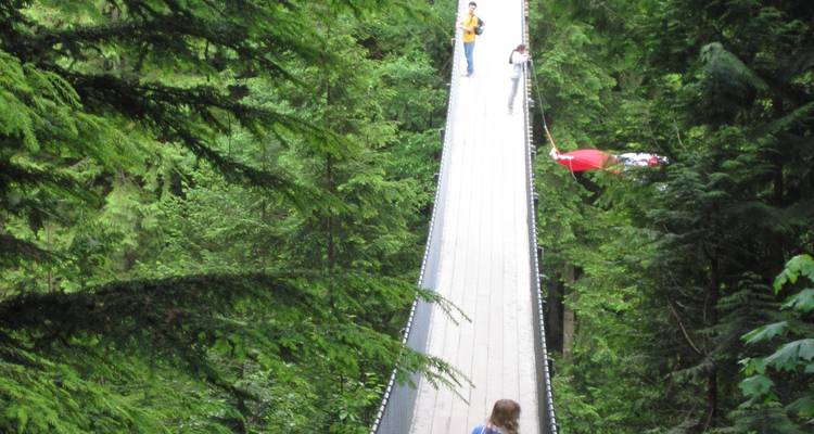 Excursion d'une journée à Vancouver - Grouse Mountain et pont suspendu de Capilano (privé) - Globalduniya 8