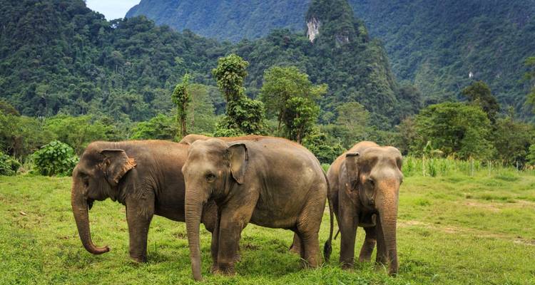 Kerala Tour - 8 Days - Golden Triangle India Tours 6